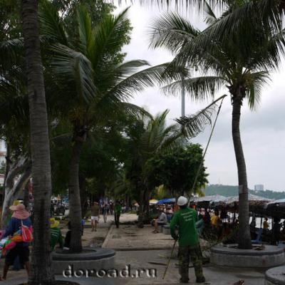 Tërheqjet kryesore të Pattaya: foto dhe përshkrime