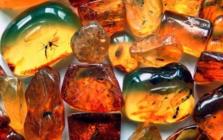 Deposits and methods of amber extraction in Russia